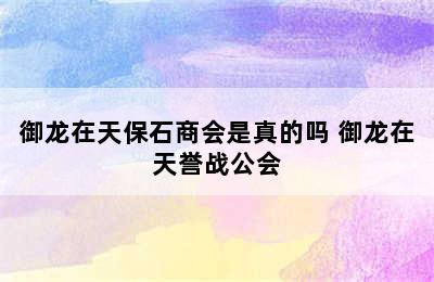 御龙在天保石商会是真的吗 御龙在天誉战公会